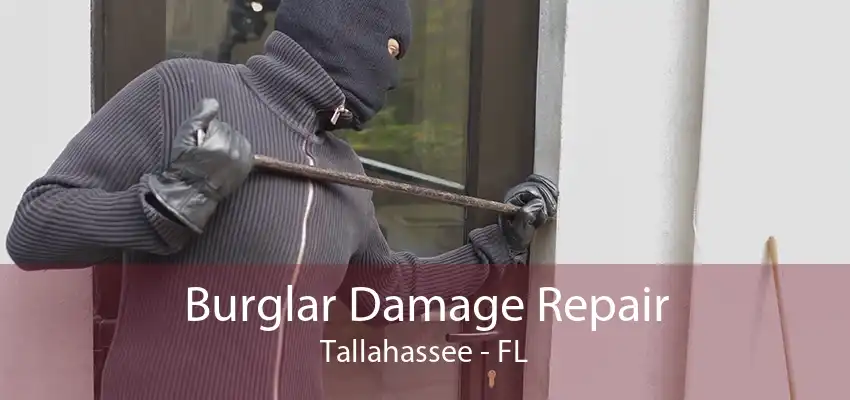 Burglar Damage Repair Tallahassee - FL