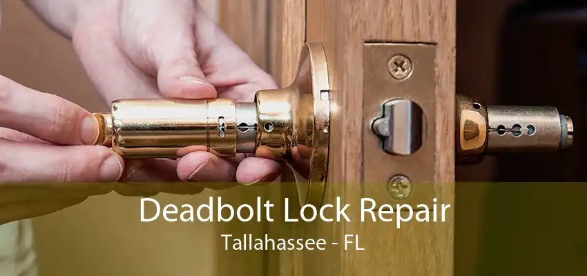 Deadbolt Lock Repair Tallahassee - FL