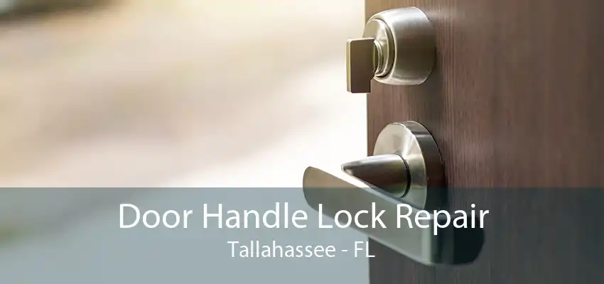 Door Handle Lock Repair Tallahassee - FL