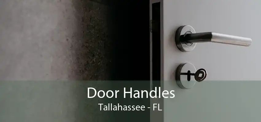 Door Handles Tallahassee - FL