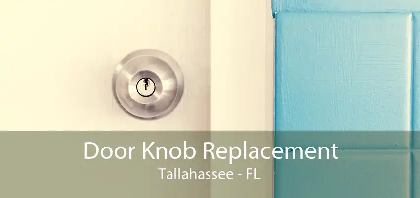 Door Knob Replacement Tallahassee - FL