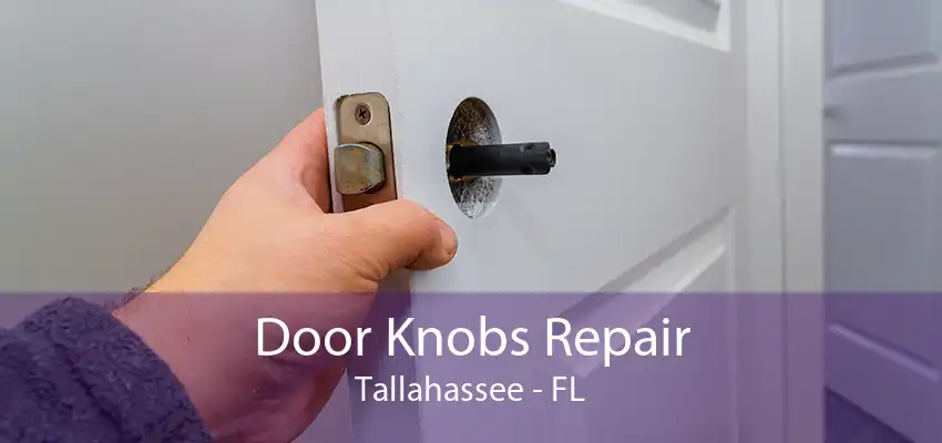 Door Knobs Repair Tallahassee - FL