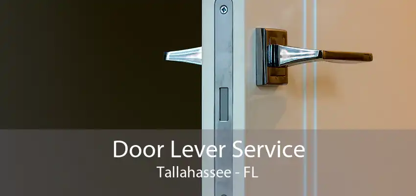 Door Lever Service Tallahassee - FL