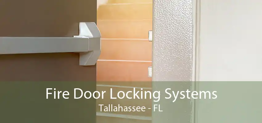 Fire Door Locking Systems Tallahassee - FL