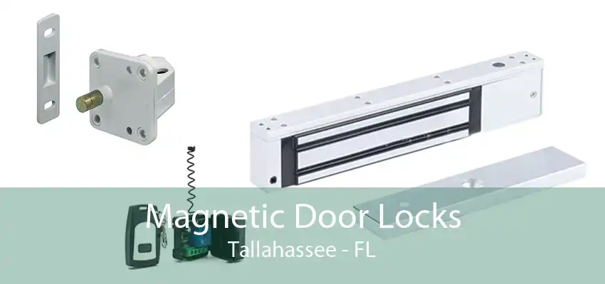 Magnetic Door Locks Tallahassee - FL