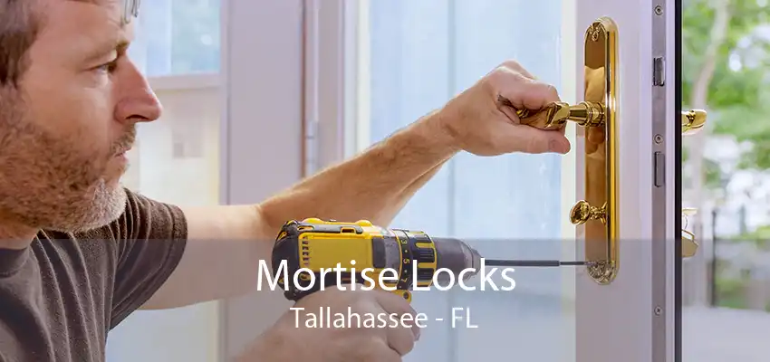 Mortise Locks Tallahassee - FL