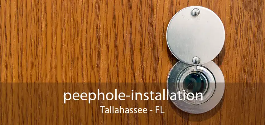 peephole-installation Tallahassee - FL