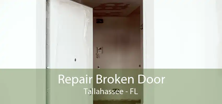 Repair Broken Door Tallahassee - FL