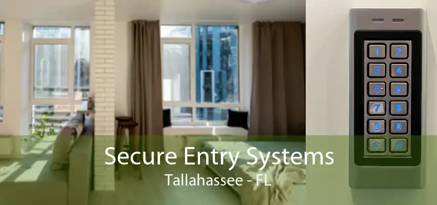 Secure Entry Systems Tallahassee - FL