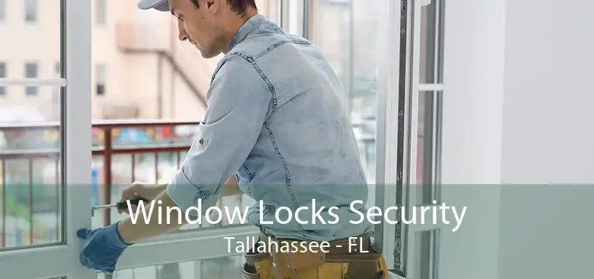 Window Locks Security Tallahassee - FL